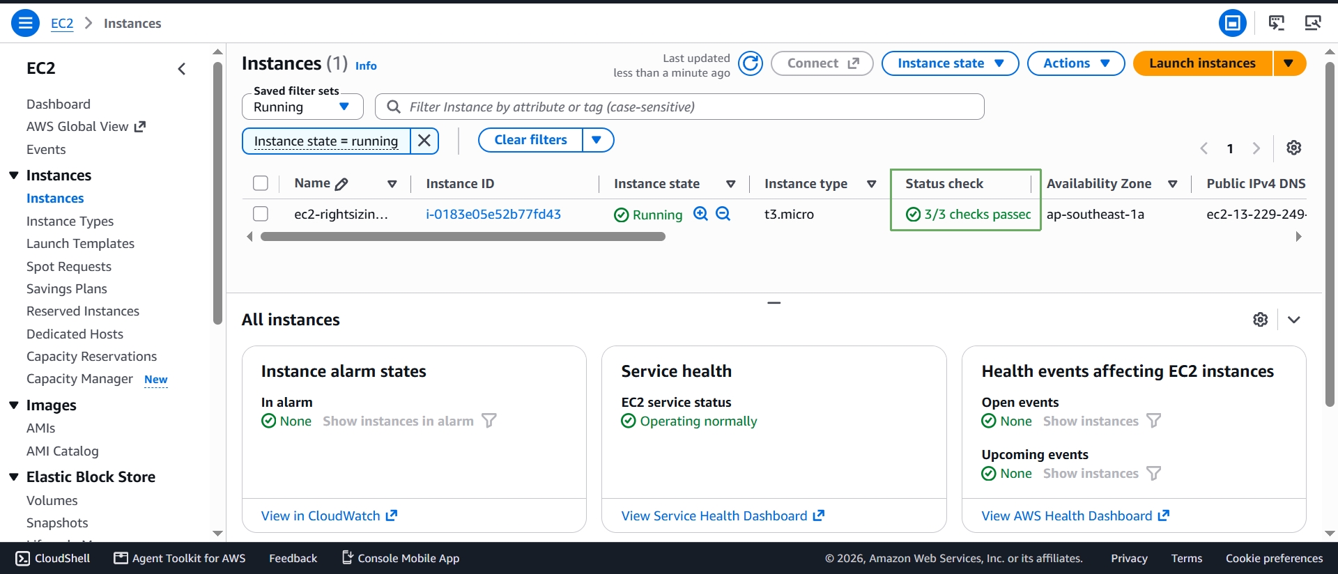 Instance running with 3/3 status checks passed