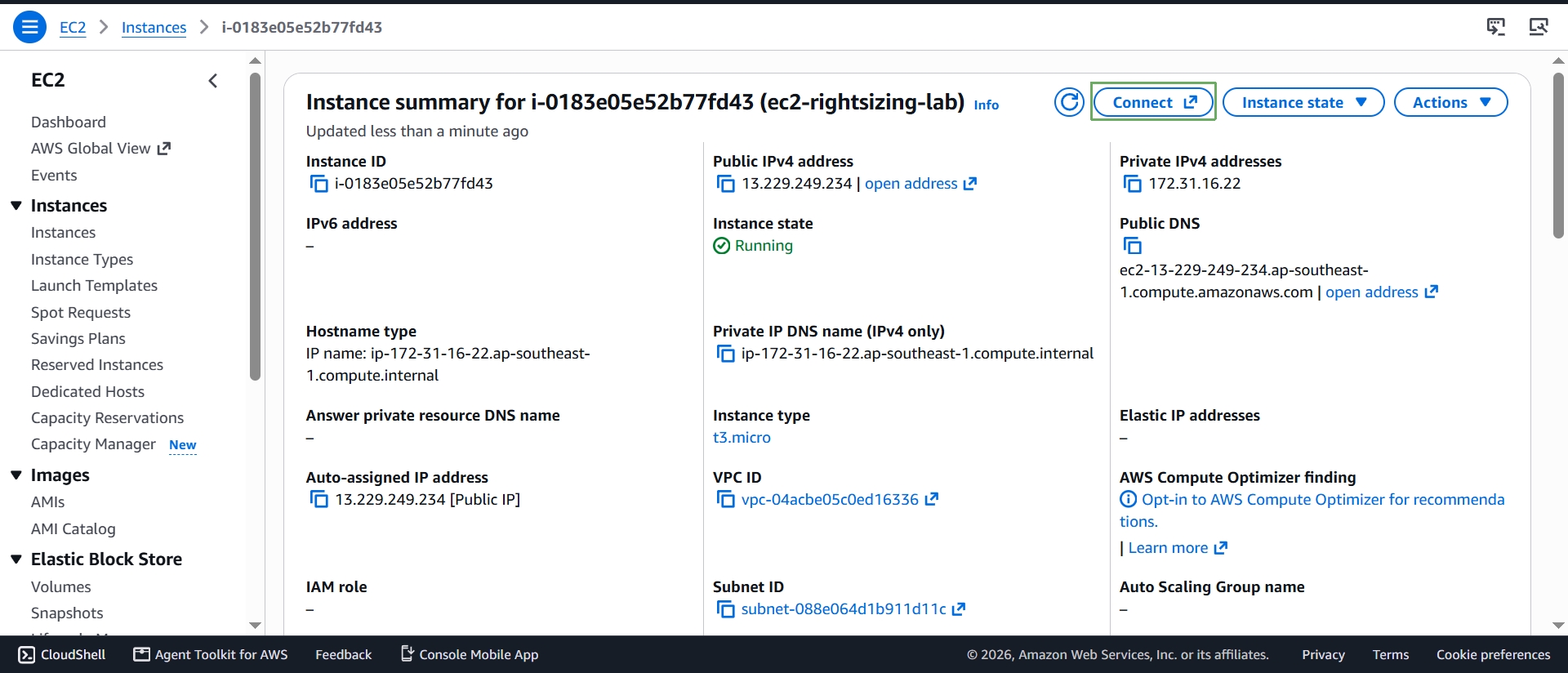 Instance summary page, showing an empty IAM role and the Compute Optimizer opt-in prompt