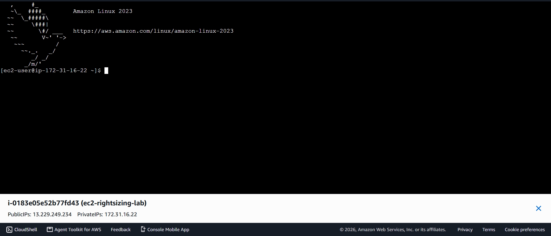 Browser-based terminal connected to the Amazon Linux 2023 instance