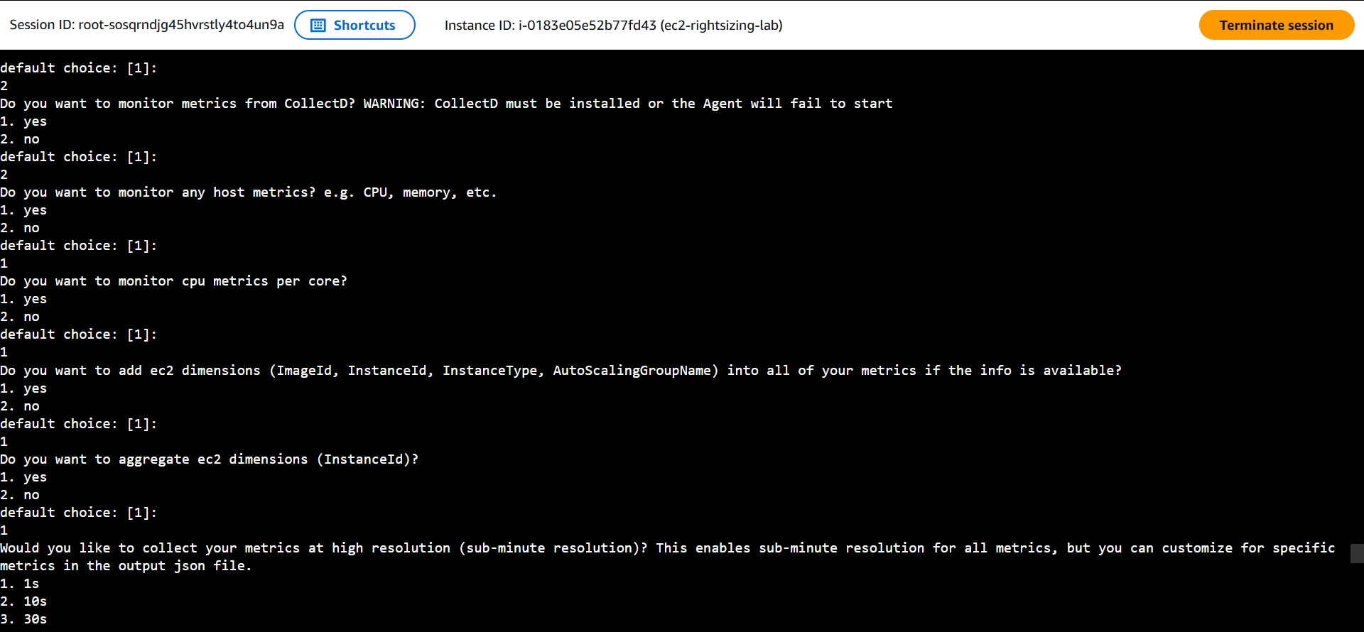 Wizard continues: host metrics, per-core CPU, ec2 dimensions