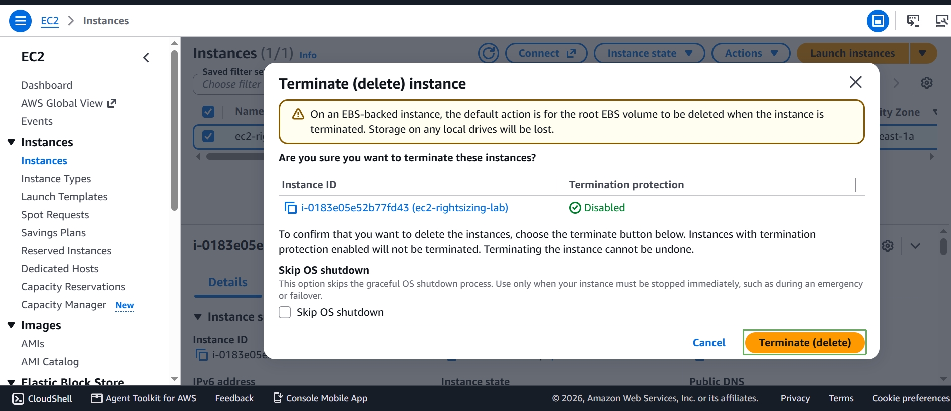 Confirmation dialog warning that the root EBS volume will be deleted, with the Terminate (delete) button